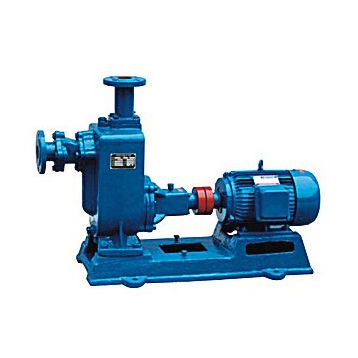 ZX Self-primming Pump