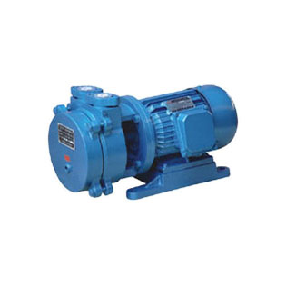 SK Series Liquid Ring Type Vacuum Pump